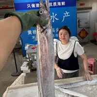 本地渤海带鱼,小眼带鱼,肉厚油带,冷冻发货