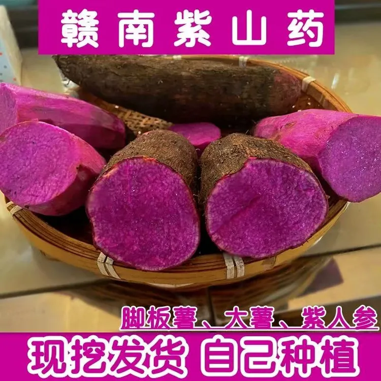 赣南紫山药现挖现发当季新鲜农家蔬菜铁棍山药大暑脚板薯3斤5斤