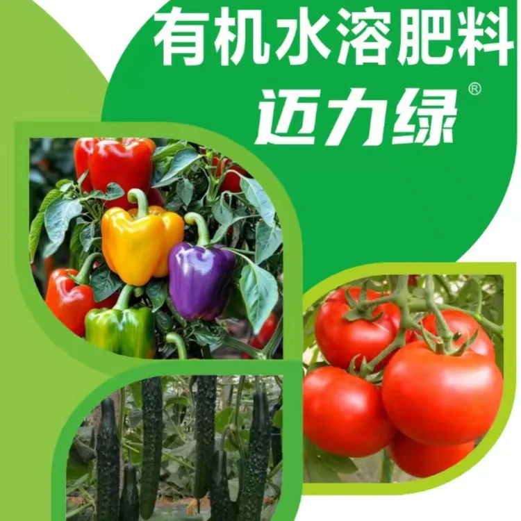 【西班牙迈力绿】泡叶藻海藻原浆