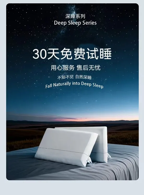 栖喜居第三代安睡枕D-9三芯记忆棉枕头护颈椎助睡眠枕芯枕头套