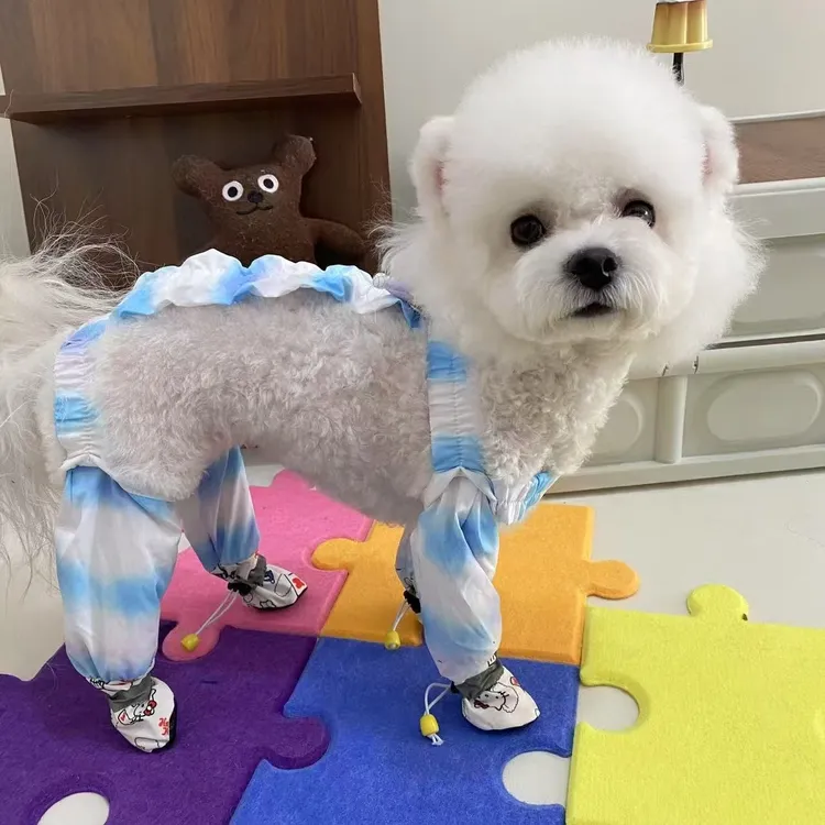 德文猫衣服定制蝴蝶翅膀宠物猫咪狗狗外出遛弯防尘裤。带脚防虫