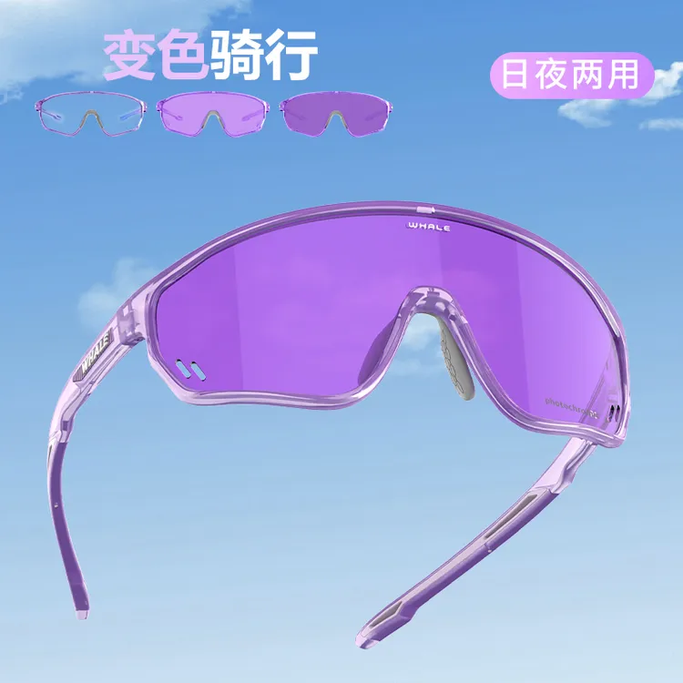 鲸鱼R3【全框】变色感光防风镜跑步运动户外登山护目镜骑行眼镜日夜
