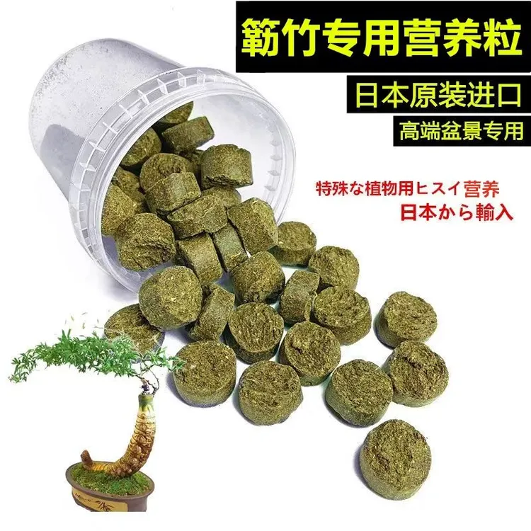 小叶簕竹勒竹专用营养粒日本进口介质长效有机缓释颗粒盆景专用
