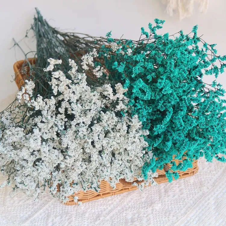 水晶草永生花天然干花花束客厅家居装饰摆设花束搭配婚庆布置拍摄