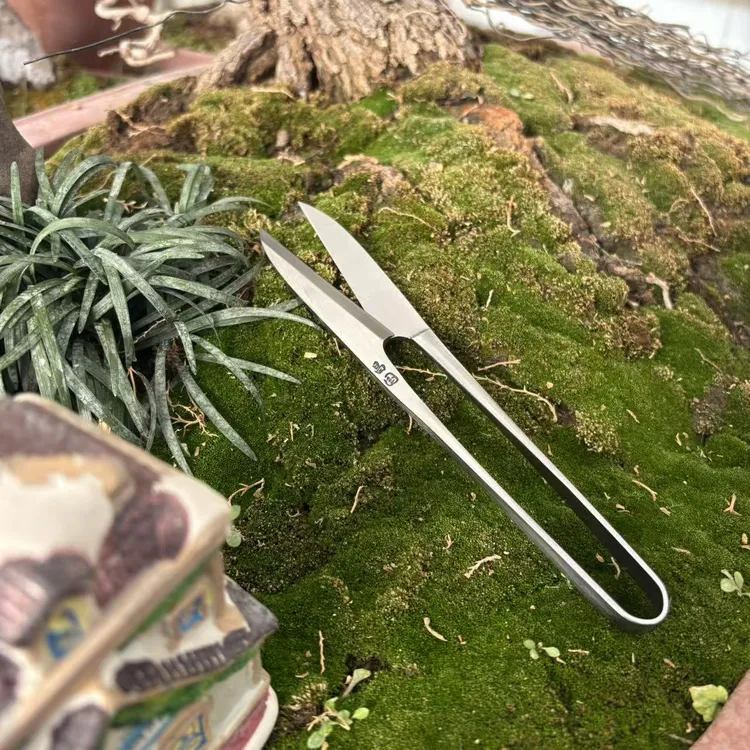 1昌国不锈钢175mm摘芽剪叶芽嫩芽剪刃长65mm