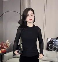 新款面膜丝绒圆领长袖显瘦小衫上衣