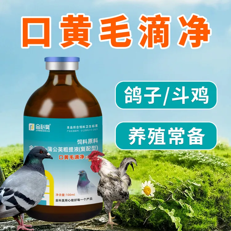 金科昊口黄毛滴净浓缩液赛鸽信鸽飞禽鸽舍养殖常备饲料添加剂