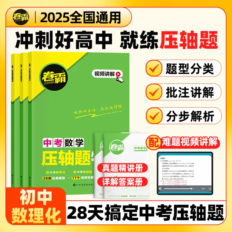 【正版】2025新版中考数学物理化学压轴题特训中考复习数学专项训练