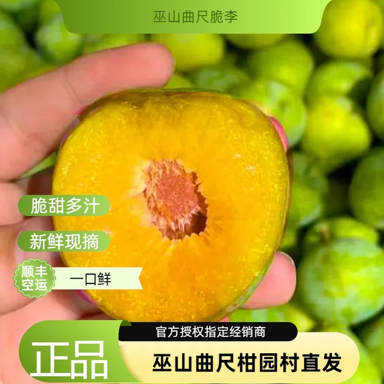 重庆巫山脆李青脆李子新鲜当季水果5斤家庭礼盒装农产品
