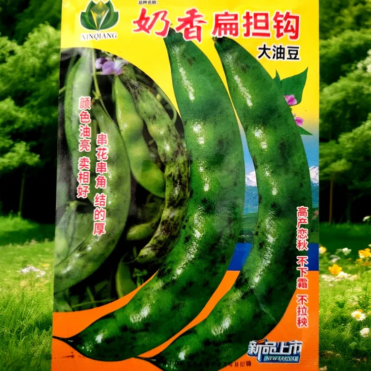 奶香扁担钩油豆角种子50克左右