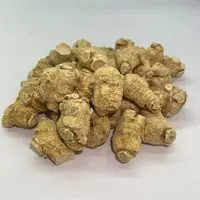 【翠凤】圆粒花旗参泡水煲汤