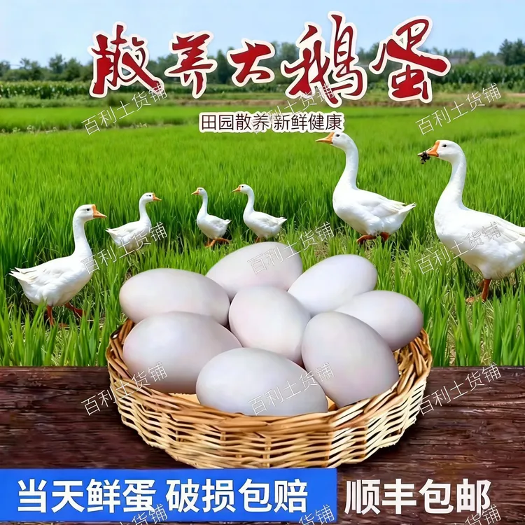 顺丰包邮新鲜鹅蛋孕妇农家散养土鹅蛋大个生鹅蛋精品保真现捡现发