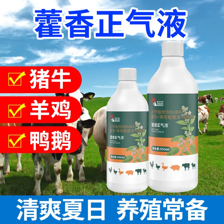 藿香正气液猪牛羊鸡鸭鸽子养殖通用液态饲料添加剂