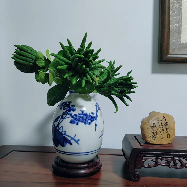 【产地直销】新鲜现摘金佛手可水培闻香把玩观赏还可用于车用的水果