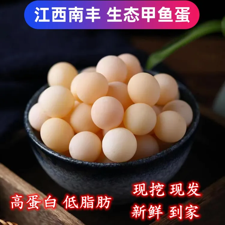 现挖现发新鲜甲鱼蛋/高蛋白营养美味可做宝宝辅食【送料包 送食谱】