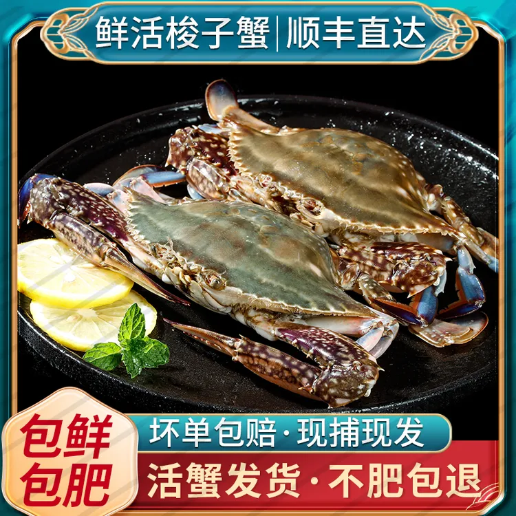 【保鲜不保活】舟山野生梭子蟹公蟹产地顺丰直发4两多6只3斤