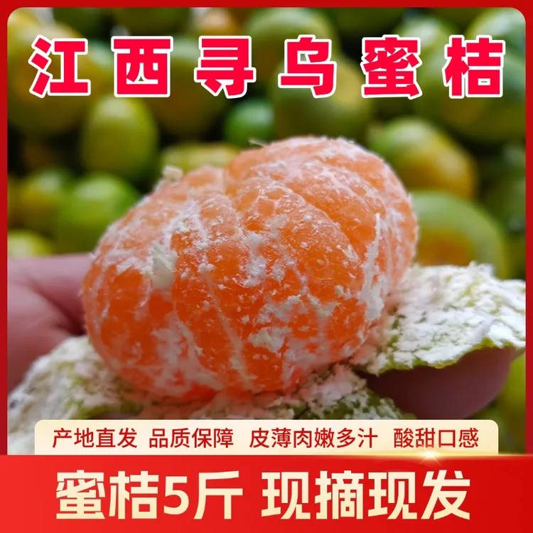 江西寻乌蜜桔现摘青皮无籽酸甜多汁蜜橘应季柑橘新鲜橘子水果整箱