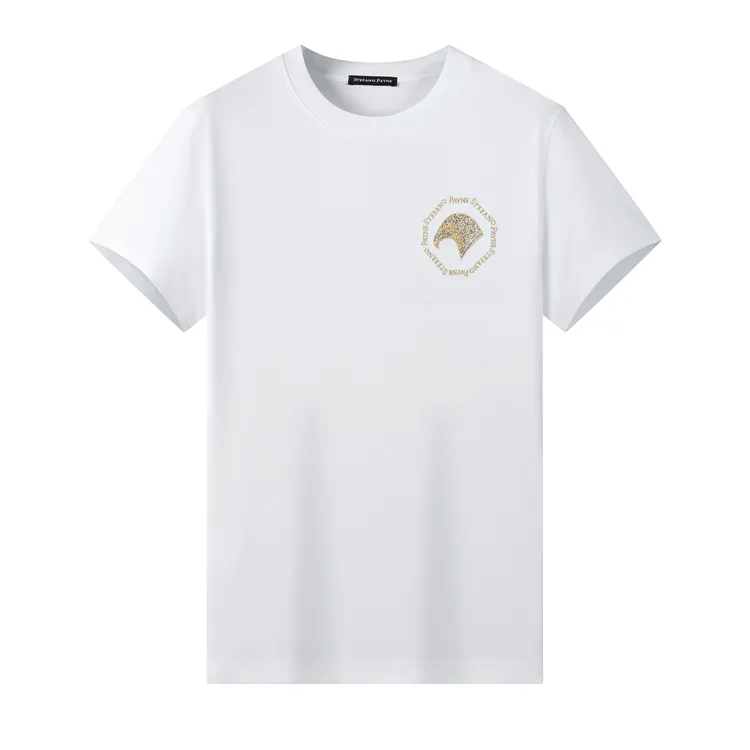  STEFANO PAYNE 2025新款夏季薄款T恤时尚百搭简约休闲圆领短袖