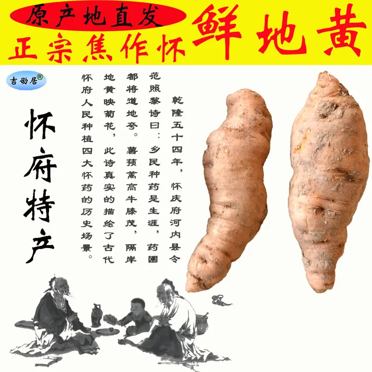 鲜地黄河南焦作市原产地15个一斤根块地髓生地黄现挖现发新鲜包邮