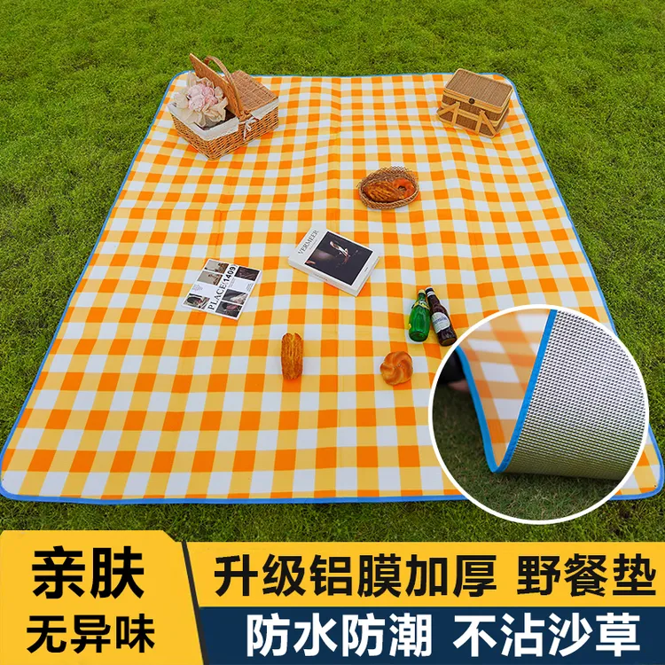 野餐垫防潮垫加厚露营便携公园草地地垫防水草坪户外垫子春游地毯