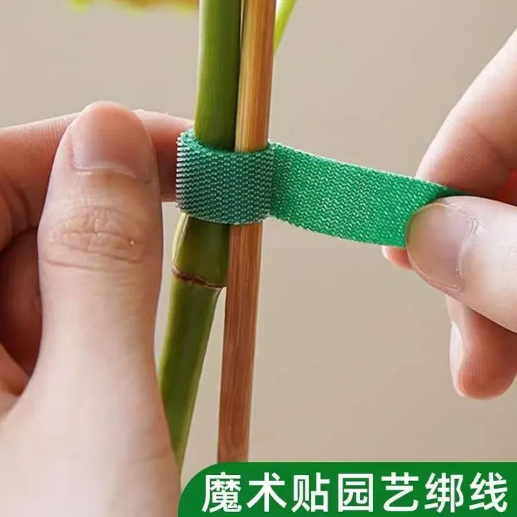 魔术贴绿植扎带捆绑绿色粘扣带植物捆绑不伤植物支撑固定热植绑带