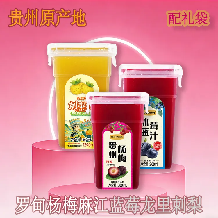 礼袋装杨梅汁刺梨汁蓝莓汁新年组合装多种口味原果榨汁果蔬汁饮料