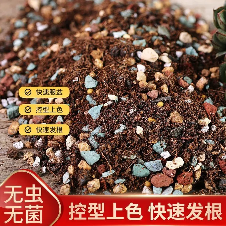 50%多肉营养颗粒专用土种植栽培土养花通用型泥炭植物花土铺面石