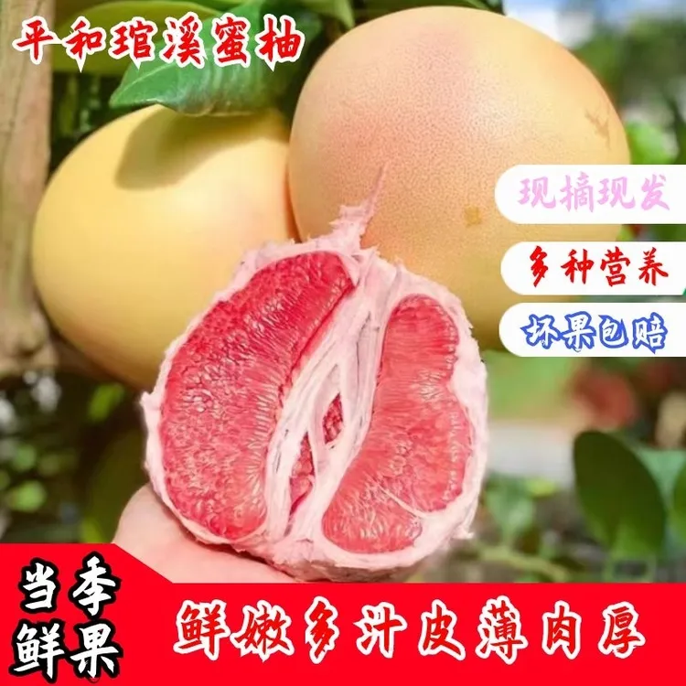 【现货!】平和琯溪红心蜂糖蜜柚新鲜采摘皮薄鲜甜坏果包赔1-5个hx1