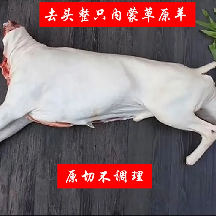 扎鲁特草原羊 带皮山羊/绵羊整羊整扇30-40斤30%腿排