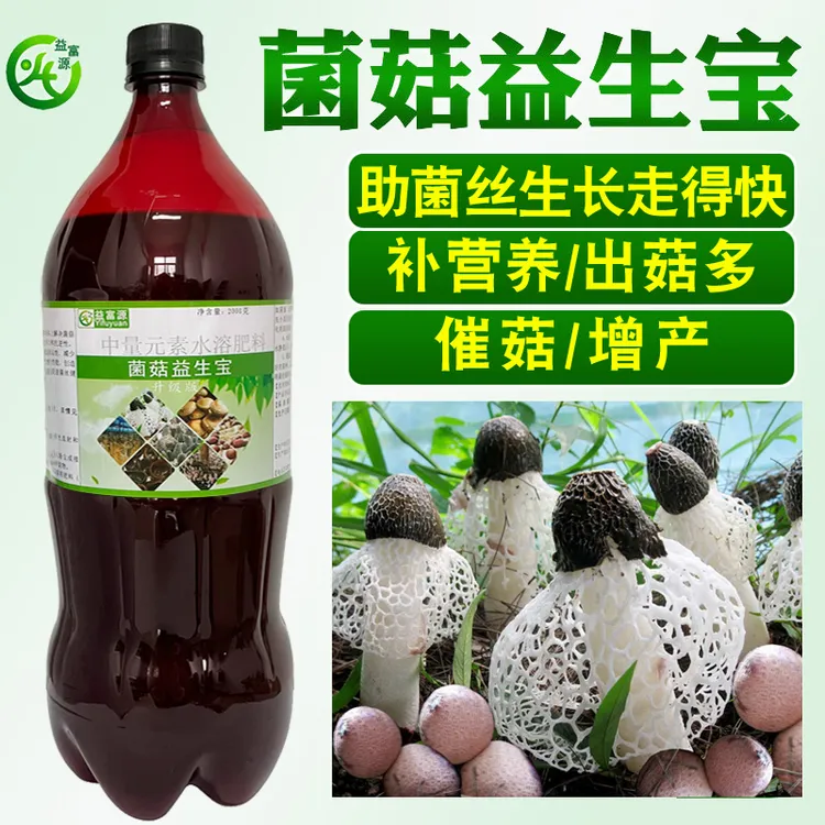 竹荪营养液菌菇益生宝催菇出菇红托竹荪冬荪肥料菌丝生长冲施喷淋