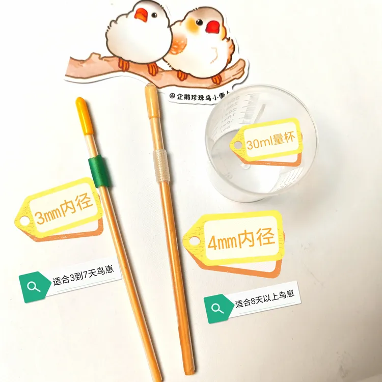 自制手喂神器[适合珍珠鸟文鸟玉鸟十姐妹虎皮牡丹玄凤鹦鹉]