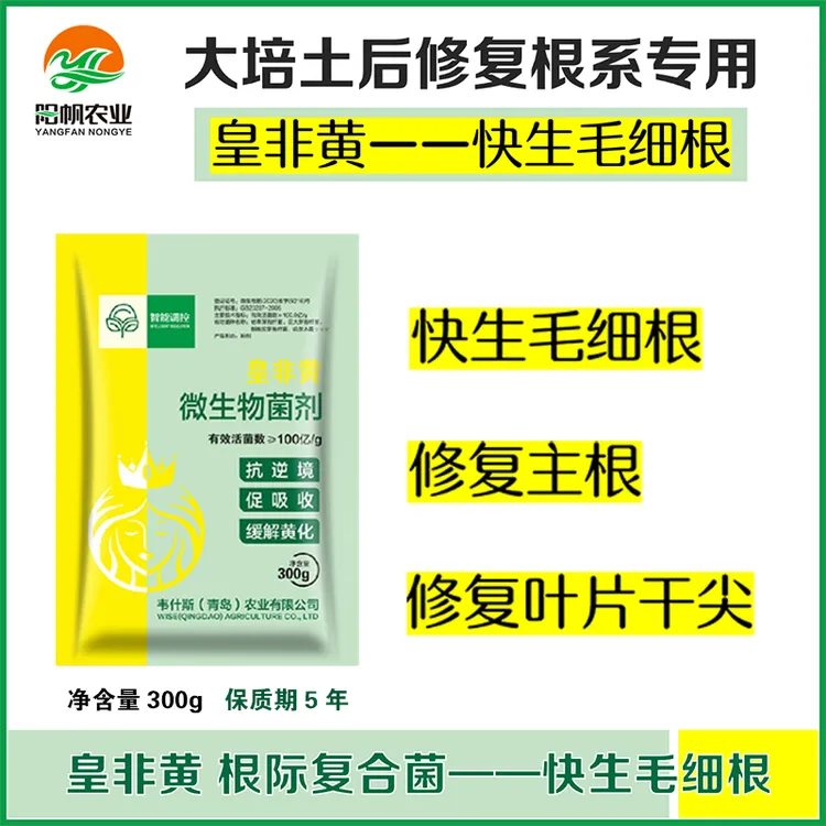 【皇非黄】快生毛细根修复主根叶片干尖大培土后修复根系专用复合菌