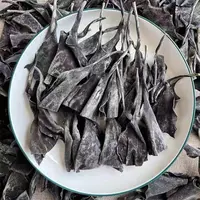 福建霞浦手工日晒海带头厚实高泡发农产品海带头干货煲汤鲜美500g