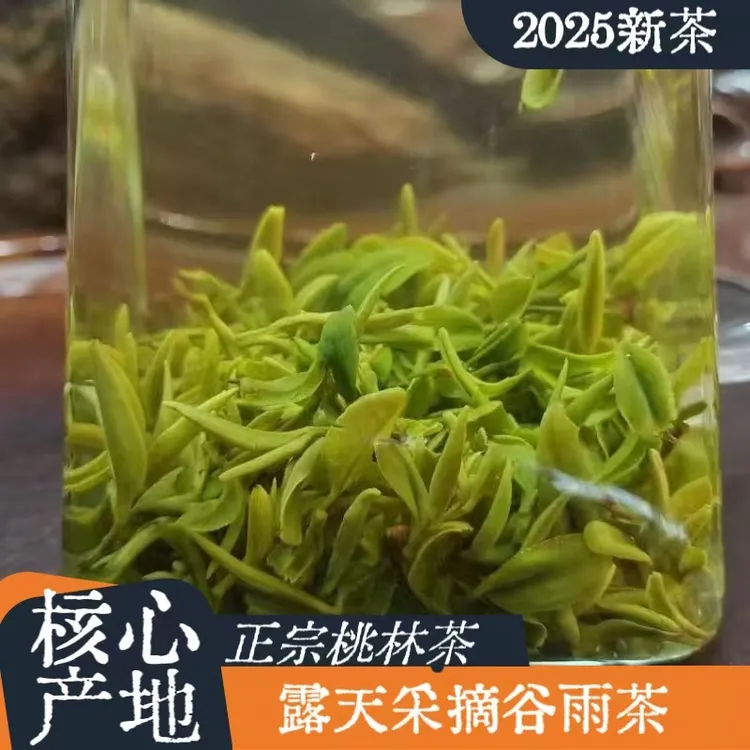 【露天谷雨龙井】2025正宗诸城特产桃林绿茶头茬谷雨新茶鲜嫩龙井片