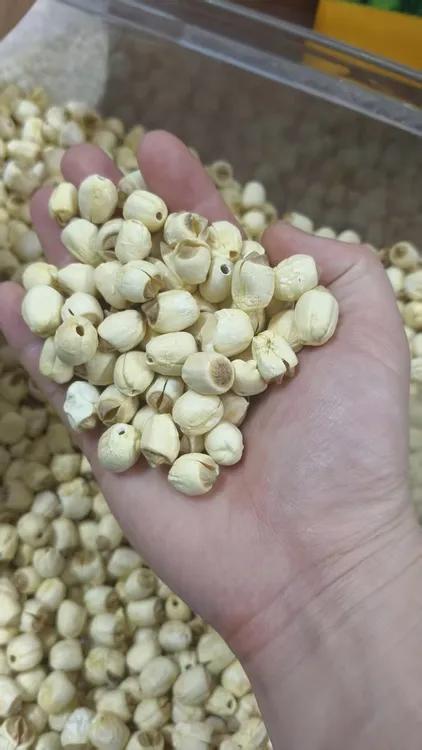 2025新货中号莲子福建莲子农家清香1