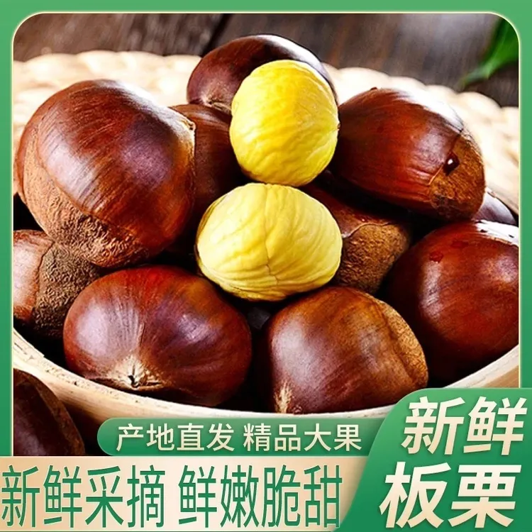 新鲜现摘农家板栗香甜饱满口感粉面内皮好剥