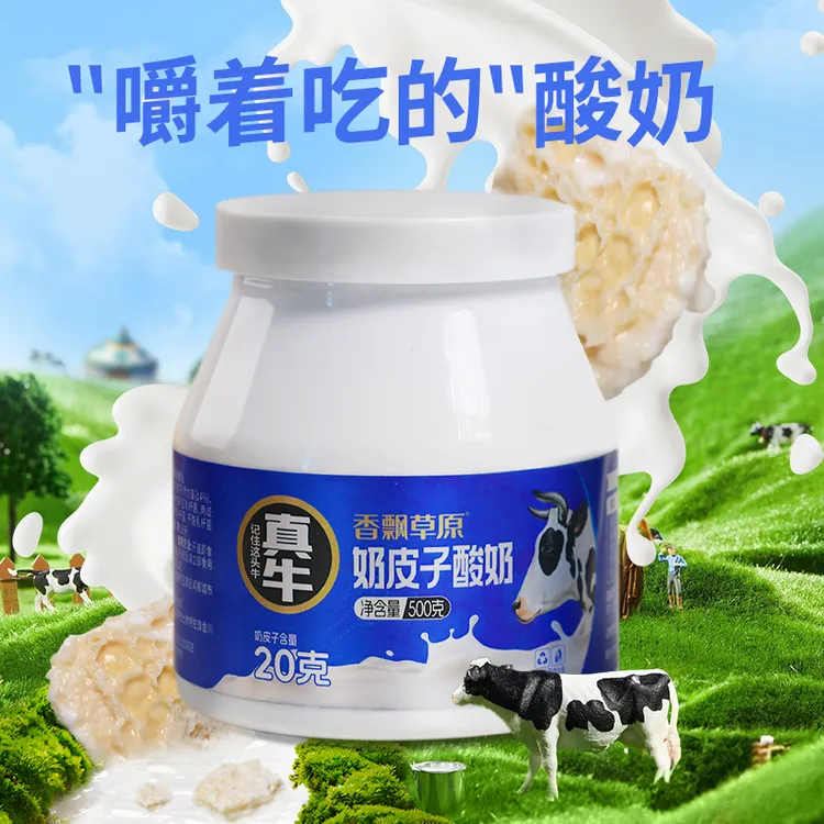 香飘草原 内蒙奶皮子酸奶500g/罐 嚼着吃的酸奶 口感丝滑