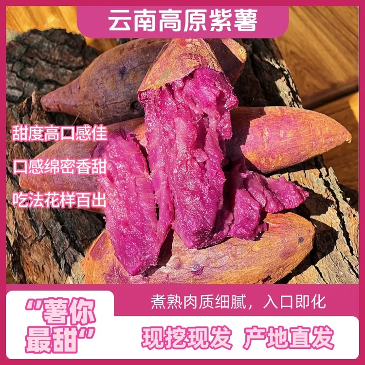 云南新鲜现挖现发高原紫薯软糯香甜 皮薄肉香粗粮早餐