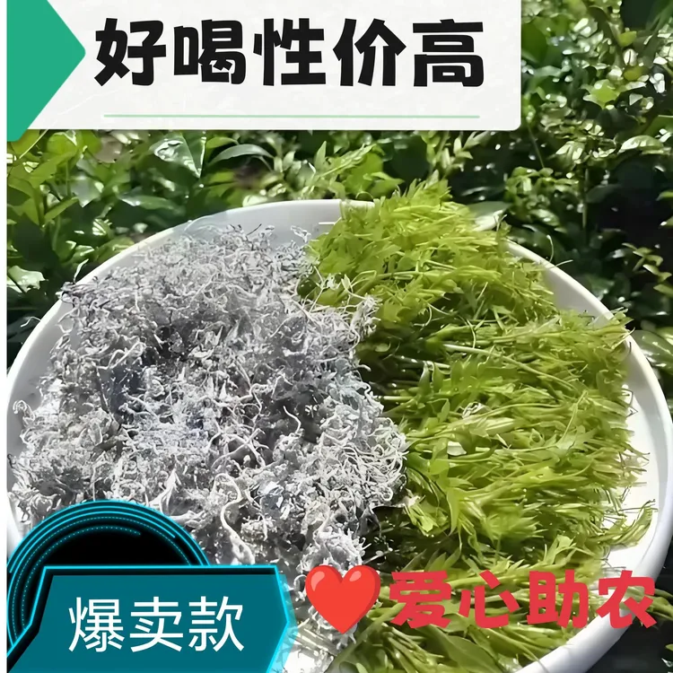 BLX古莓茶之乡湘西永顺高山龙须芽尖莓茶富硒藤茶农家手工莓茶