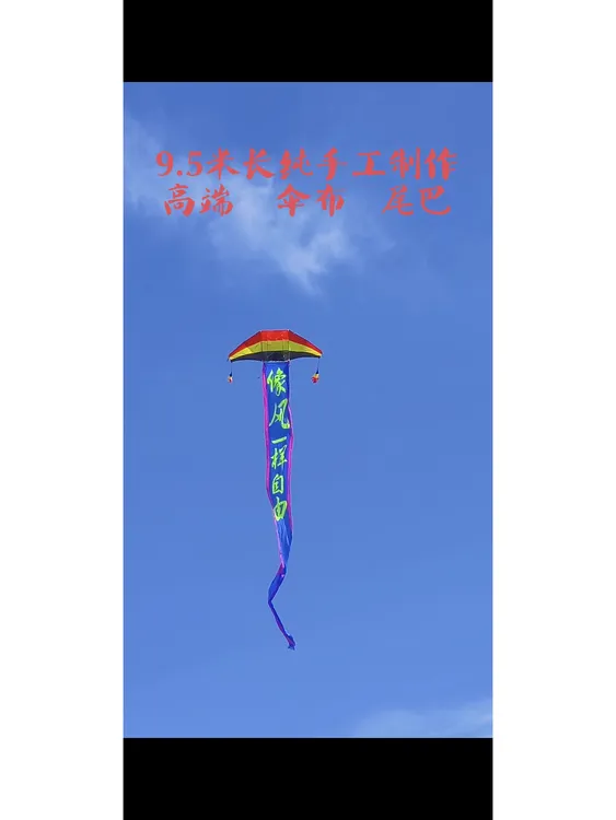 高端风筝尾巴私人订制款一条有灵魂的尾巴拼接工艺个性尾巴