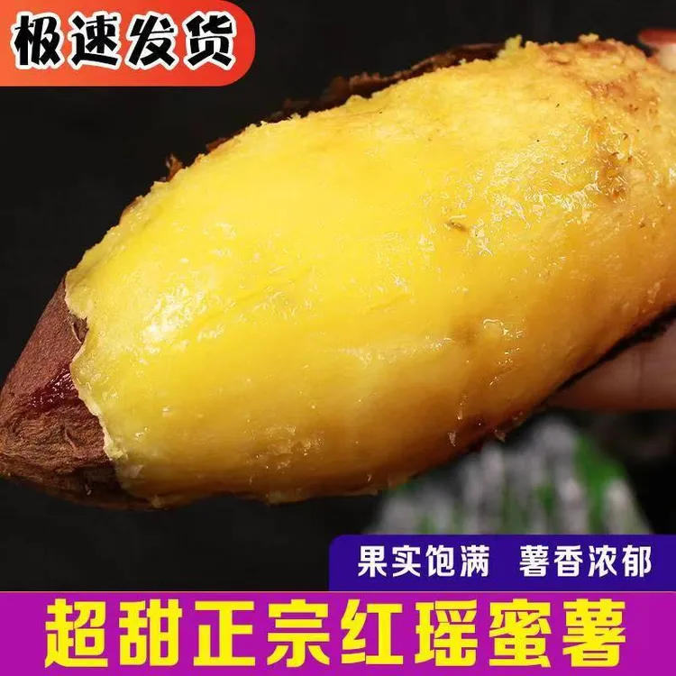 岳龙黑黏土地红瑶蜜薯