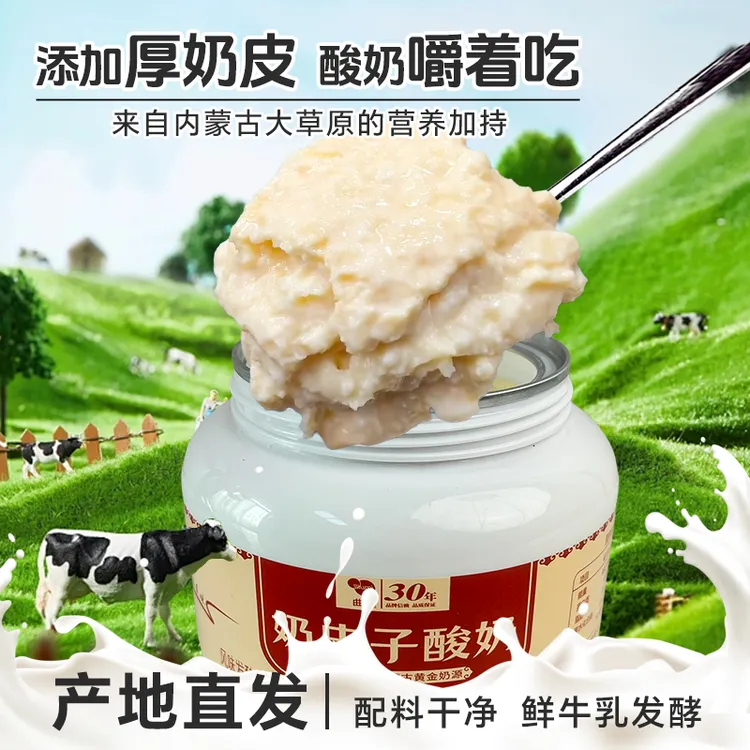曲迷三层奶皮子酸奶550g草原鲜奶制作低温发酵营养早餐
