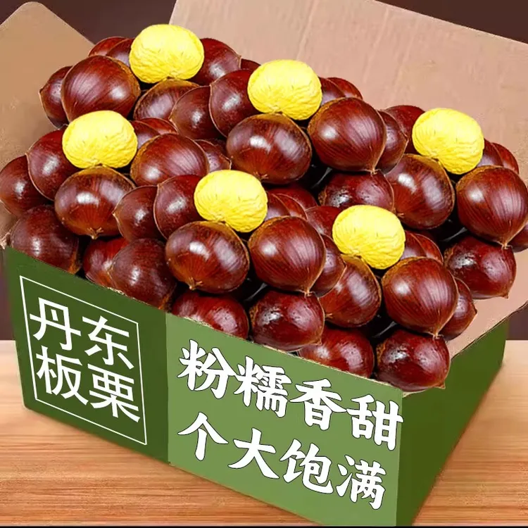2025新鲜丹东板栗鲜栗子生嫩大板粟板栗野生板票不是锥栗不难剥皮