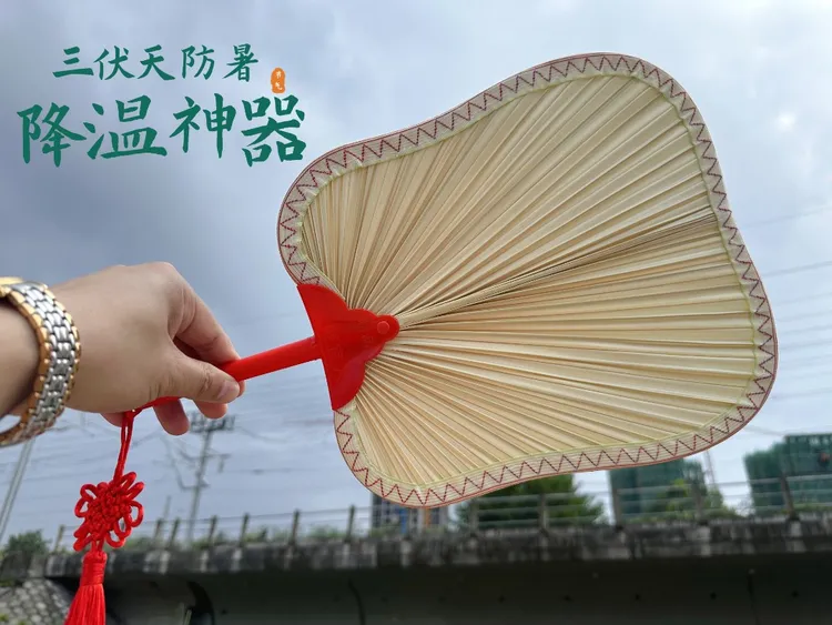 烧烤粽叶家用拍照舞蹈团扇蒲芭蕉扇用用舞蹈扇子跳舞专用