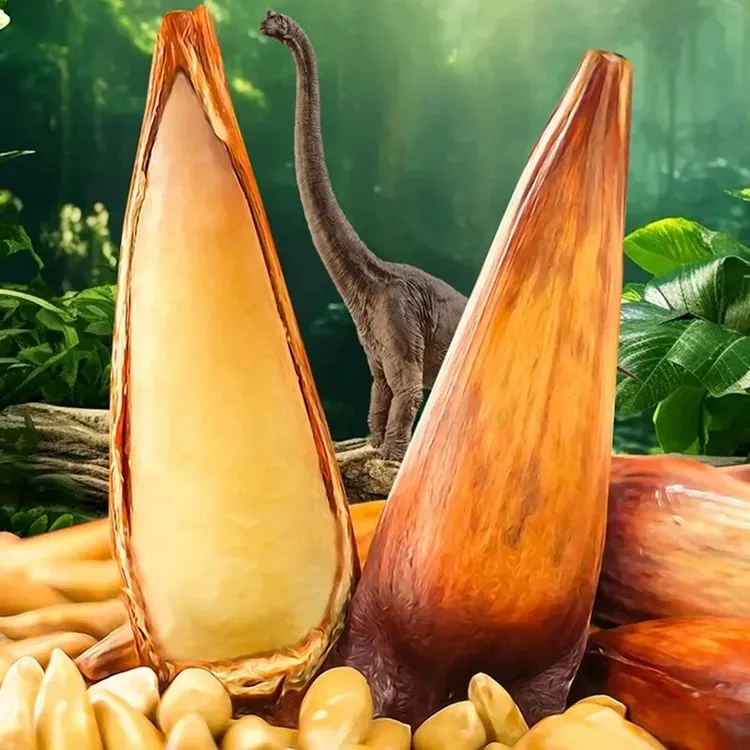 【中云巴松】原味熟食拇指大松子巴拉那松子开口巴西王送礼80g/盒