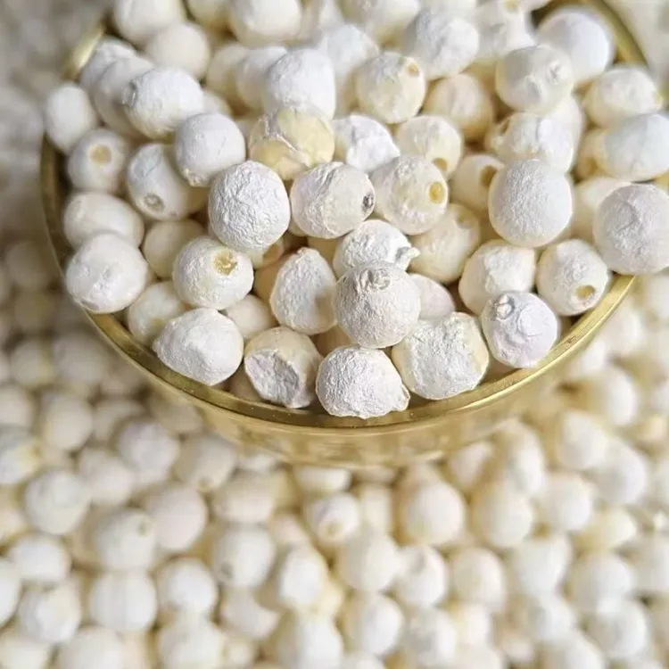 25年新的苏芡大号果已到店了，好吃Q弹药要的速度。