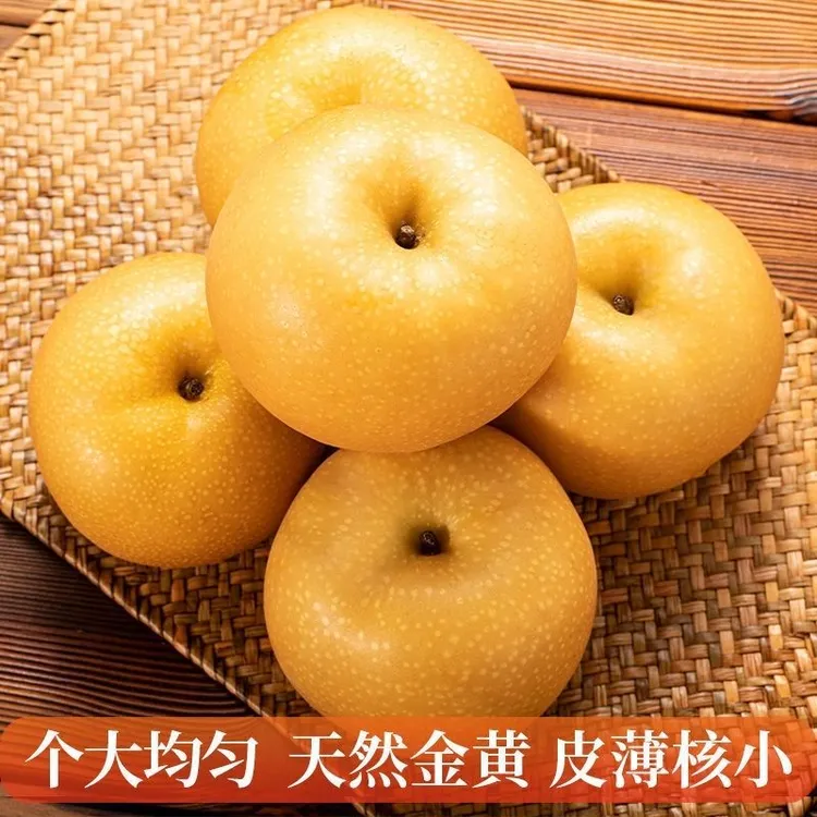 山东秋月梨礼盒装团圆必备低糖款新鲜当季水果产地直发入口无渣梨