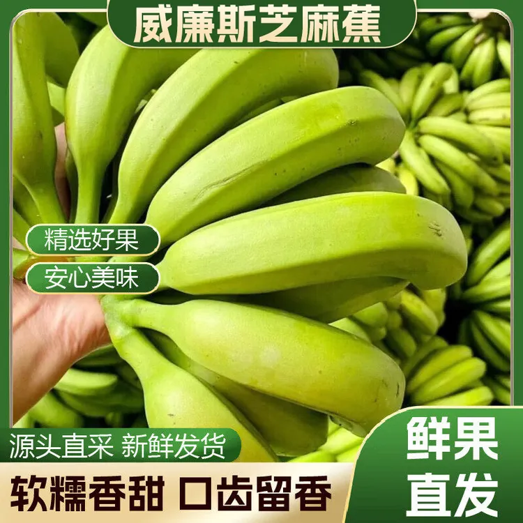 云南高山甜香蕉威廉斯芝麻蕉当季水果产地鲜果自然成熟软糯香甜商品图