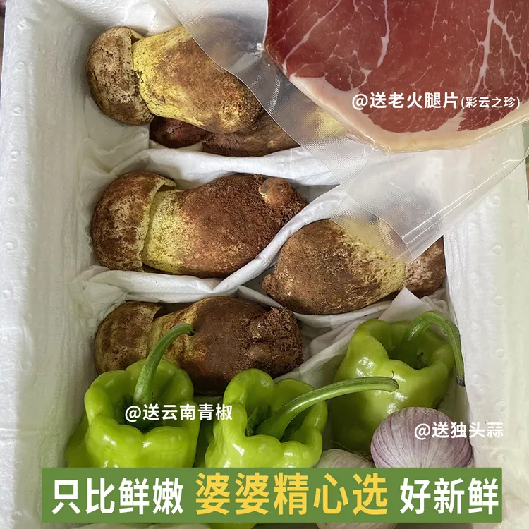 云南新鲜野生白葱牛肝菌 野生菌 菌菇菌子蘑菇特产 爆炒煲汤火锅