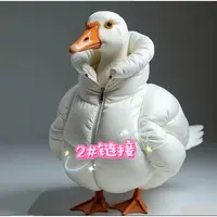 2#【编号200-299】微瑕清货福利 高品质时尚女装